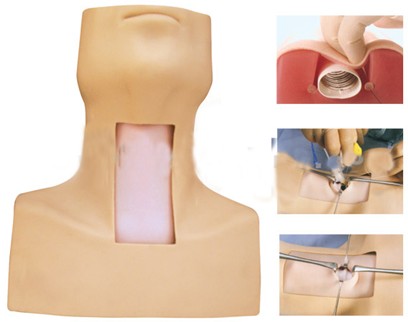 高級環甲膜穿刺及氣管切開插管訓練模型GD/J58