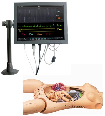 高智能數字化婦産科技能訓練系統(計算機控制)GD/F56