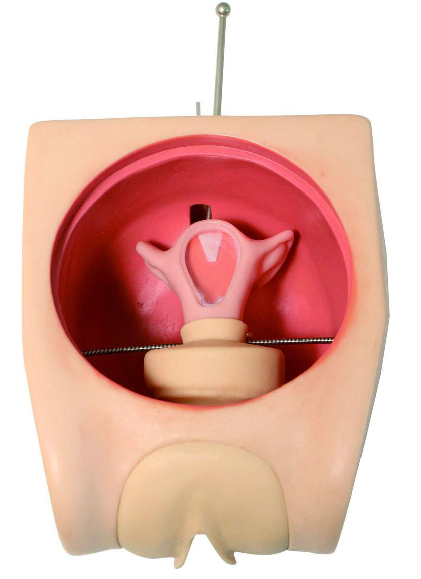 高級計劃生育教學模型GD/FT33B 