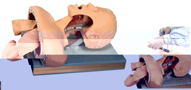 高級人體氣管插管訓練模型 進行口腔、鼻腔氣管插管的訓練操作時，錯誤操作插入食道，有側面直觀功能及報警功能。供氣使胃膨脹