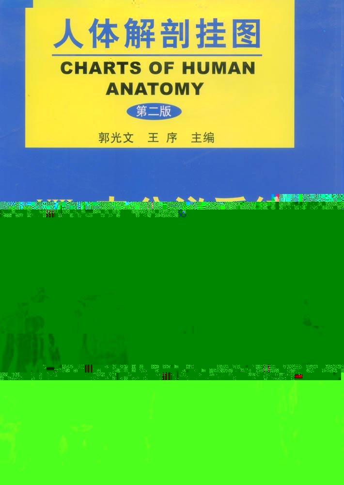 人體解剖挂圖-内分泌系統 是我公司自行研發生産熱銷的醫學教學模型,相關産品：急救訓練模型，臨床綜合專科技能訓練模型等，歡迎各醫院單位訂購021-63283651