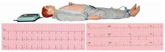 高級多種心電圖電腦模拟人GD/ZXD190 