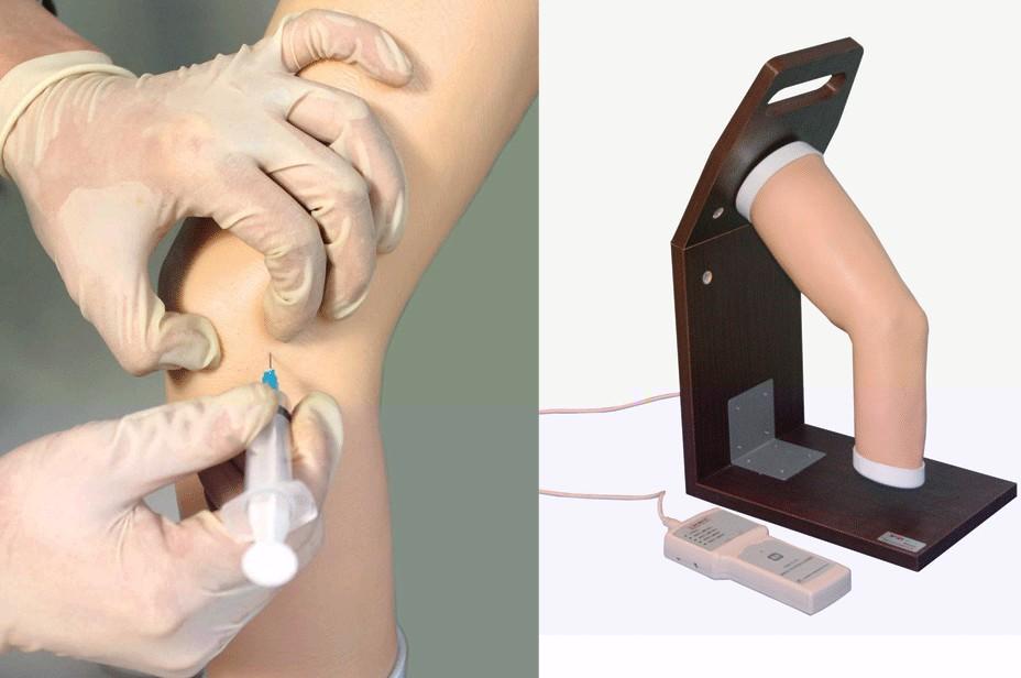 高級電子肘關節腔内注射模型GD/L71 